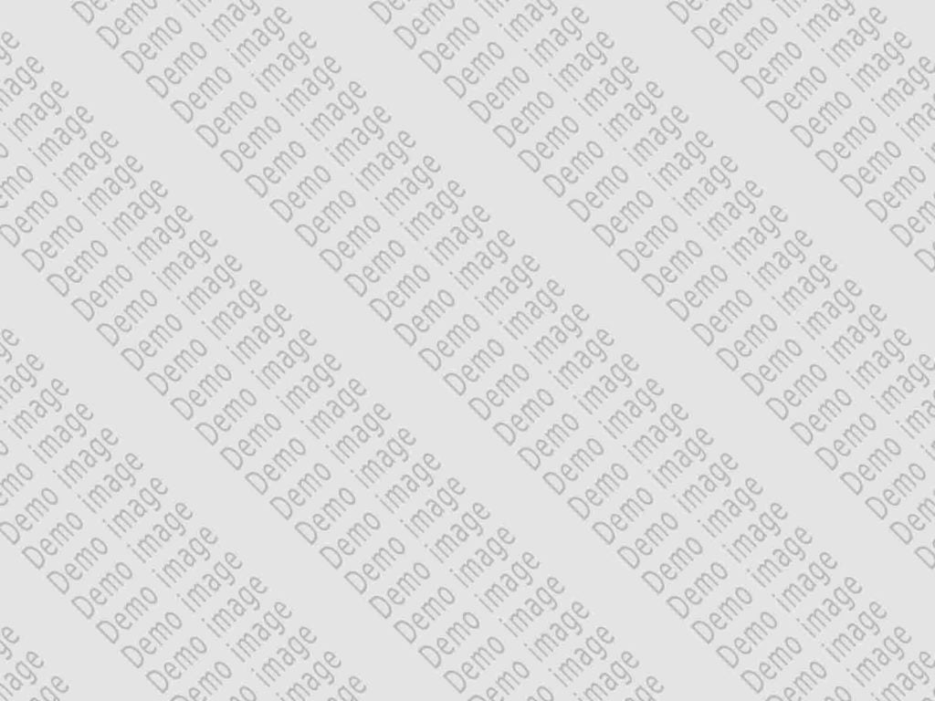demo image